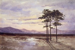 Sunset, County Sligo (kağıt üzerine suluboya) by William Percy French
