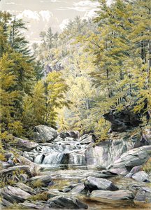 Catskill Karanfil, 1856.