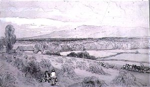 hasat sahnesi