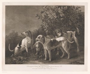 dört av köpeği Harriers (nesne üzerindeki başlık) by William Satchwell Leney