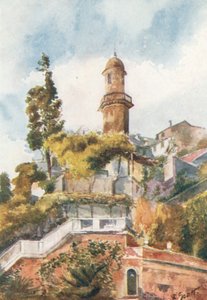 Cenova