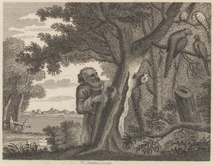 Filozof ve Sülünler by William Skelton