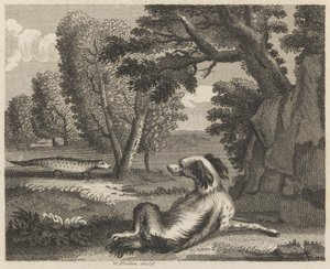 Spaniel ve Kameleon by William Skelton