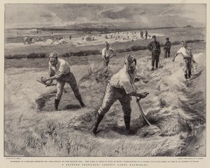 Coveted Ayrıcalık, Mahkum Çeteleri Haymaking by William Small