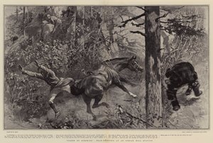 Taken by Surprise, Bear-Shooting at an Indian Hill Station 