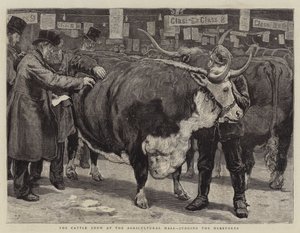 Tarım Salonundaki Sığır Gösterisi, Hereford