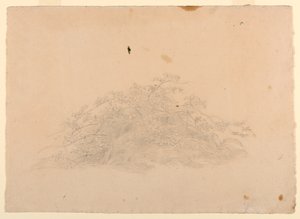 Yeşillik çalışması by William Stanley Haseltine