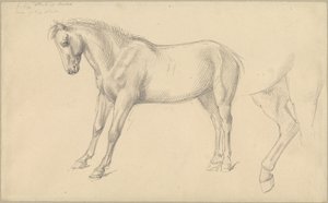 Midilli Çalışmaları by William Strutt