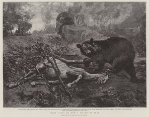 Ne şans! veya, Ayımı nasıl öldürdüm by William Strutt