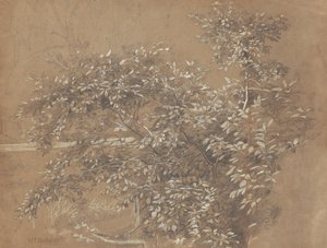 Yeşillik by William Trost Richards