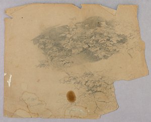 Yeşillik çalışması by William Trost Richards