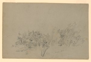 Yeşillik çalışması by William Trost Richards