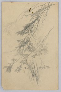 Yeşillik çalışması by William Trost Richards