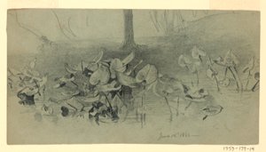 Yeşillik çalışması by William Trost Richards