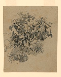 Yeşillik çalışması by William Trost Richards