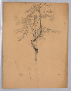 Yeşillik çalışması by William Trost Richards