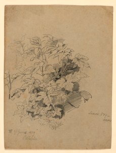 Yeşillik çalışması by William Trost Richards