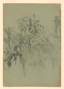 Yeşillik çalışması by William Trost Richards