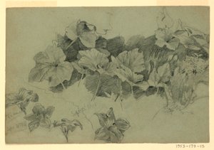 Yeşillik çalışması by William Trost Richards