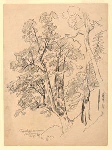 Yeşillik çalışması, Trachselwald, Bern, İsviçre by William Trost Richards