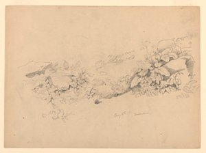 Yeşillik çalışması, Trachselwald, Bern, İsviçre by William Trost Richards