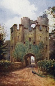 Warwick Kalesi: Asma Köprü ve Portcullis (renkli taş)