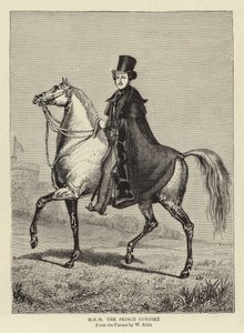 H R H Prens Eşi by William Wolfe Alais