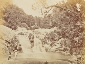  by Willoughby Wallace Hooper