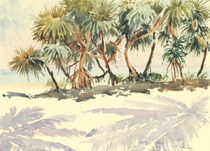 735 Saman ağaçları, Bentota by Wilson Clive