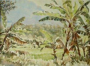 740 Muz ağaçları, Ramboda by Wilson Clive