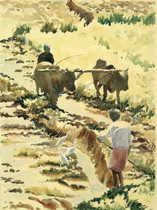 753 Çeltik tarlasının hazırlanması by Wilson Clive