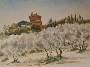 883 Pal Massaini, nr Pienza by Wilson Clive