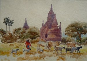 901 Bagan, tapınaklar arasında otluyor by Wilson Clive