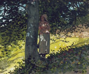 Gölgeli Bir Nokta, Houghton Çiftliği, 1878 by Winslow Homer