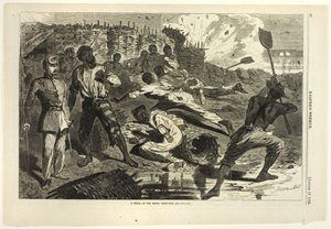 Asi Siperlerinde Bir Kabuk by Winslow Homer