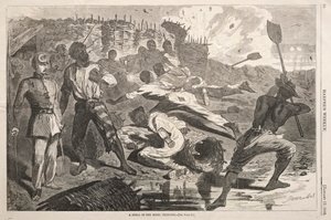Asi Siperlerinde Bir Kabuk, 1863. by Winslow Homer