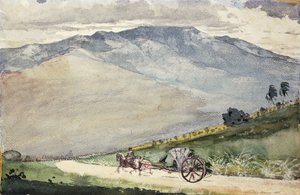 Bir Dağ Yolunda Bir Volante, Küba, 1885 by Winslow Homer
