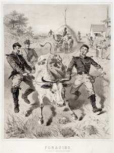 Kampanya Eskizleri: Yiyecek Arama by Winslow Homer