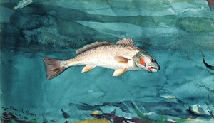 Kanal Bas by Winslow Homer