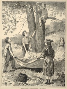 Chestnutting, Every Saturday