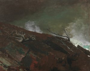 Maine Sahili by Winslow Homer