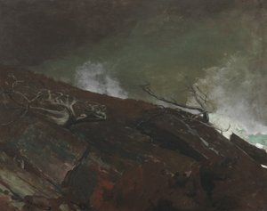 Maine Sahili, 1893 by Winslow Homer