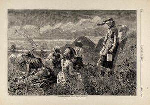  by Winslow Homer