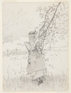 Elma Ağacının Dalını Tutan Kız by Winslow Homer