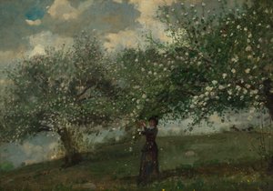 Elma Çiçeği Toplayan Kız by Winslow Homer