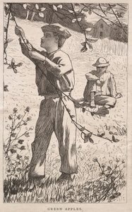  by Winslow Homer