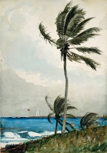 Palmiye Ağacı, Nassau, 1898. by Winslow Homer