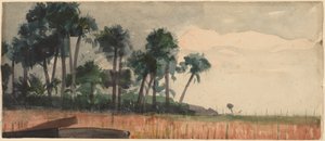 Palmiye Ağaçları, Kırmızı by Winslow Homer