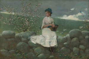 Şeftali Çiçekleri, 1878. by Winslow Homer