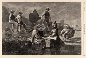 Tahterevalli--Gloucester, Massachusetts, Harper